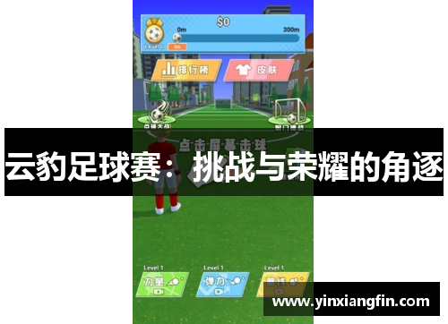 云豹足球赛：挑战与荣耀的角逐